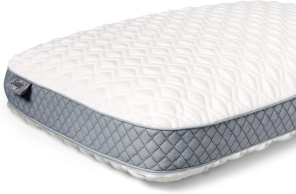 Sealy Memory Foam Pillow