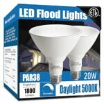 Best Outdoor Flood Light Bulbs