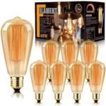 60 Watt Antique Light Bulb​