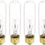 60 Watt Clear Incandescent Light Bulb​