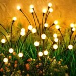 Best Outdoor Solar Fairy Lights
